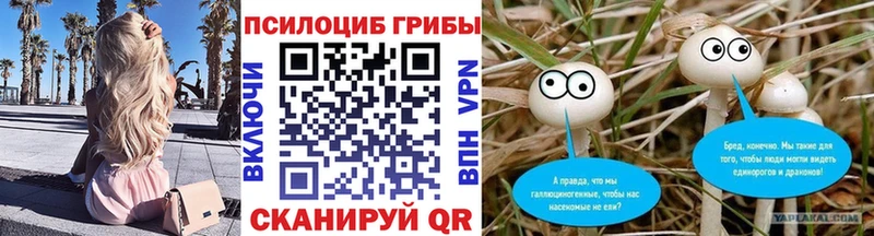 Галлюциногенные грибы GOLDEN TEACHER  Старица 